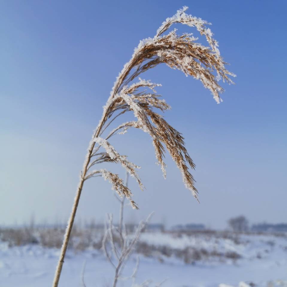 府院粮仓