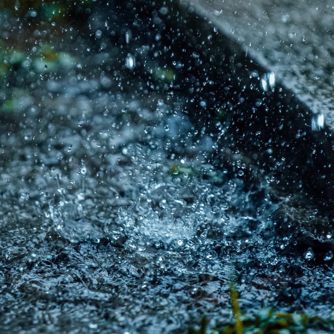 静坐听雨