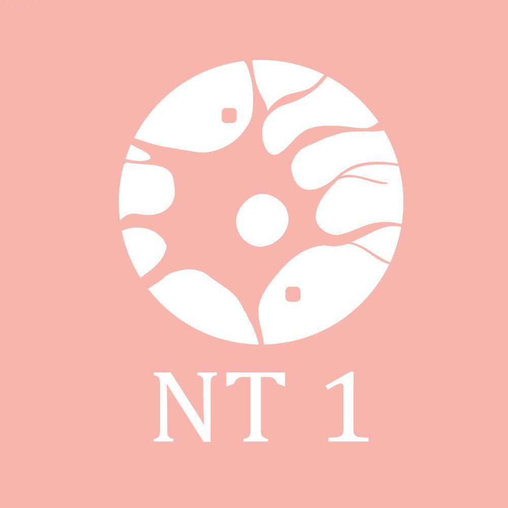 NT 1