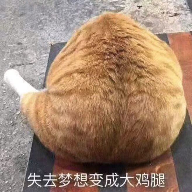 正一🍚筒