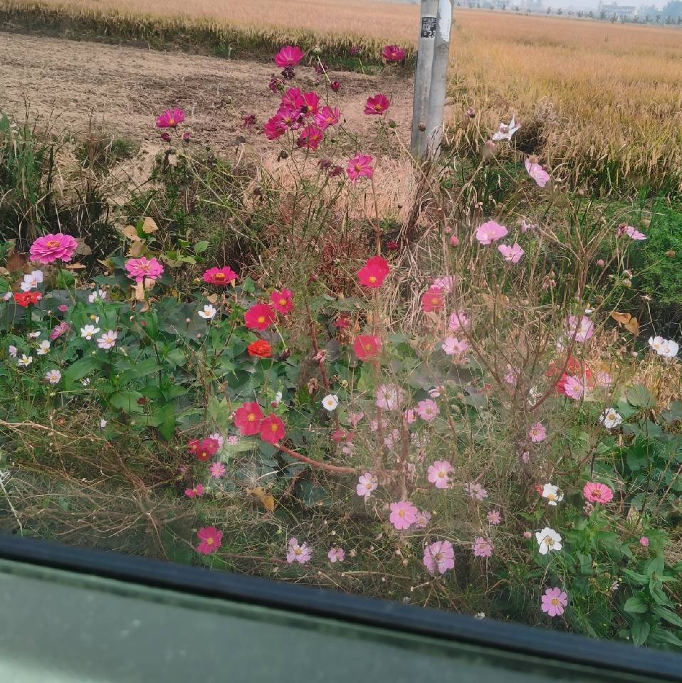 人生