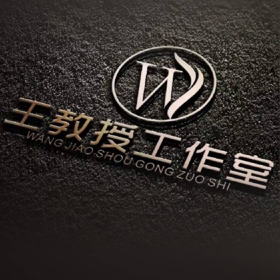 王教授工作室