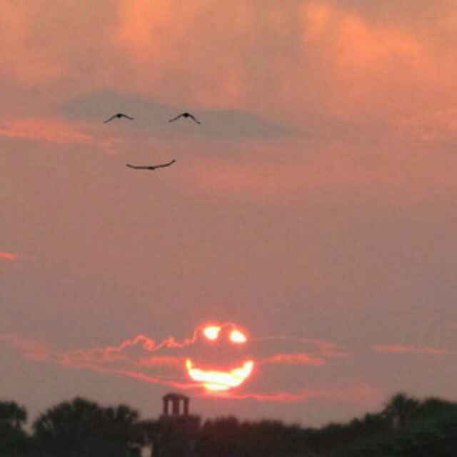 &nbsp;