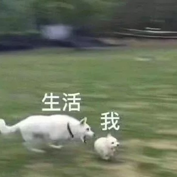 尼古拉斯·小布丁