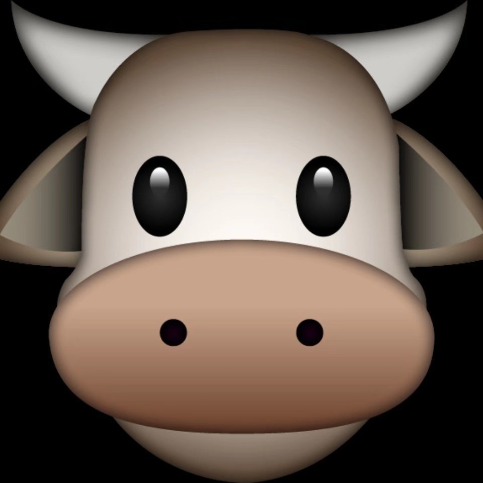 奶牛 🐄 （李何）