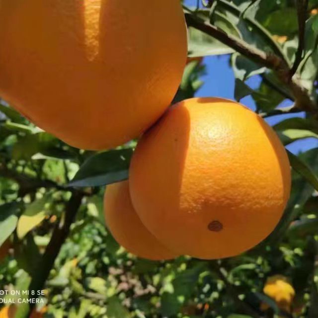 博客勇往向前（网站制作）