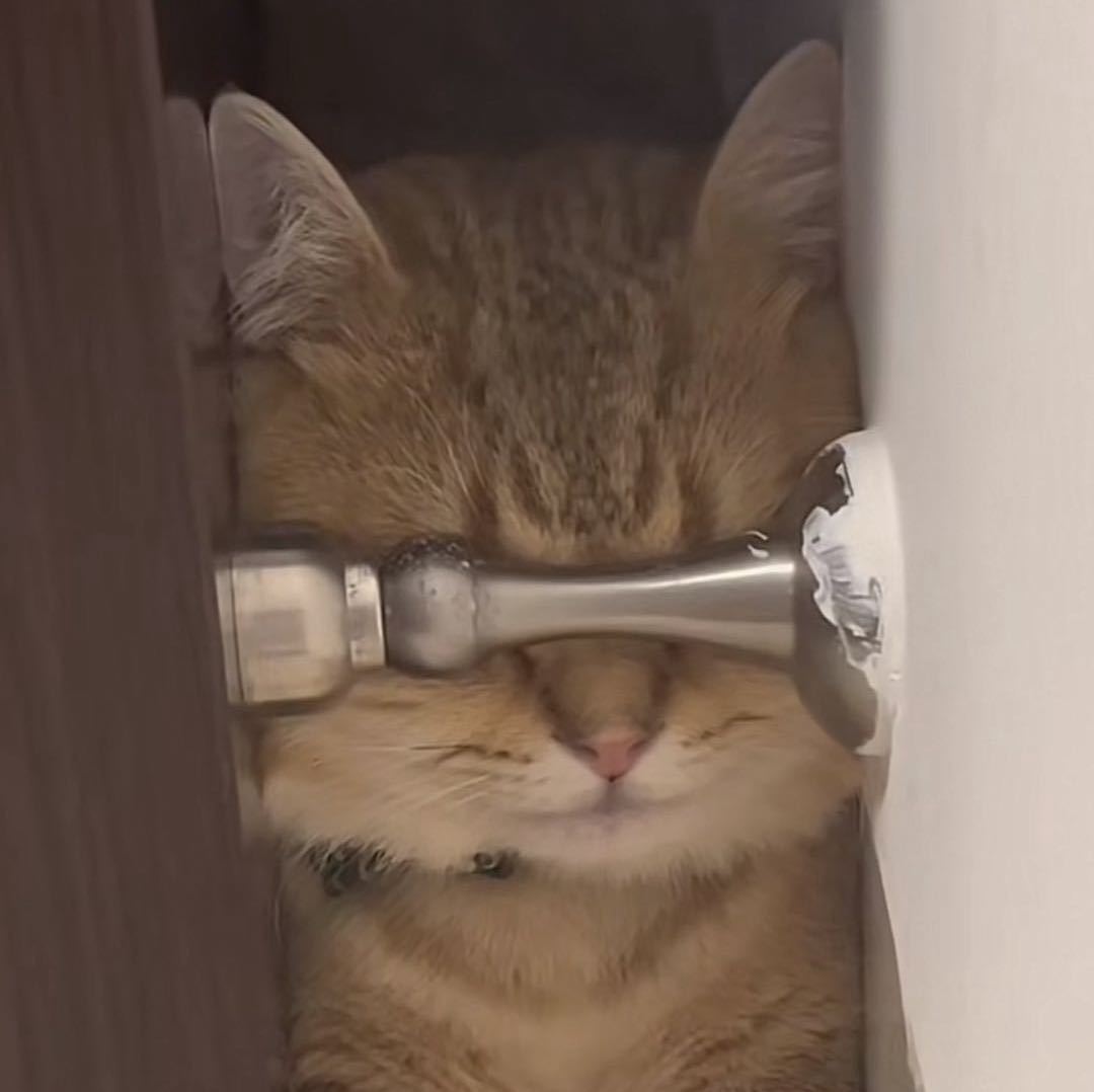 斯文点