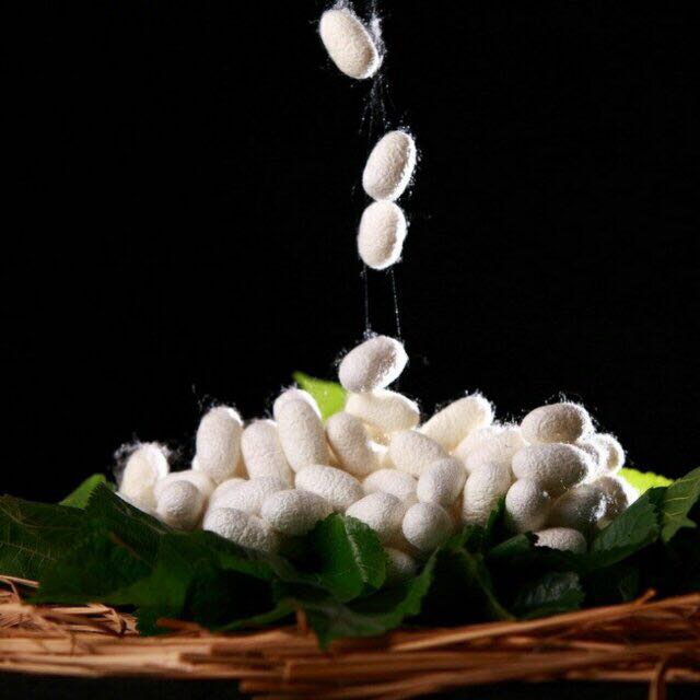 花簇雪蚕丝制品