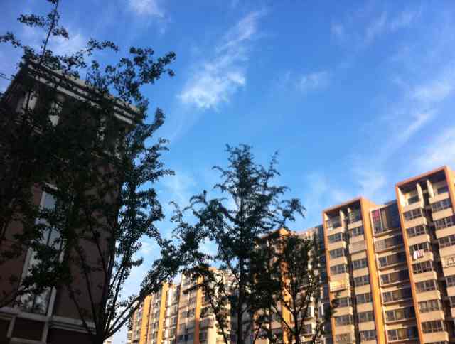 用戶頭像