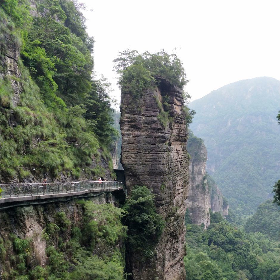 陈东明
