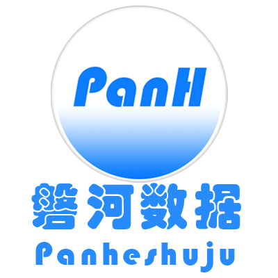 上海磐河信息科技有限公司