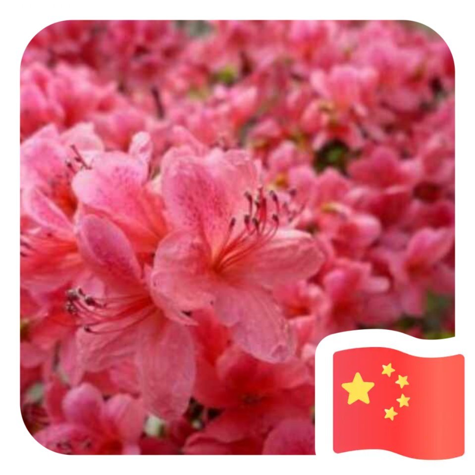 用戶頭像