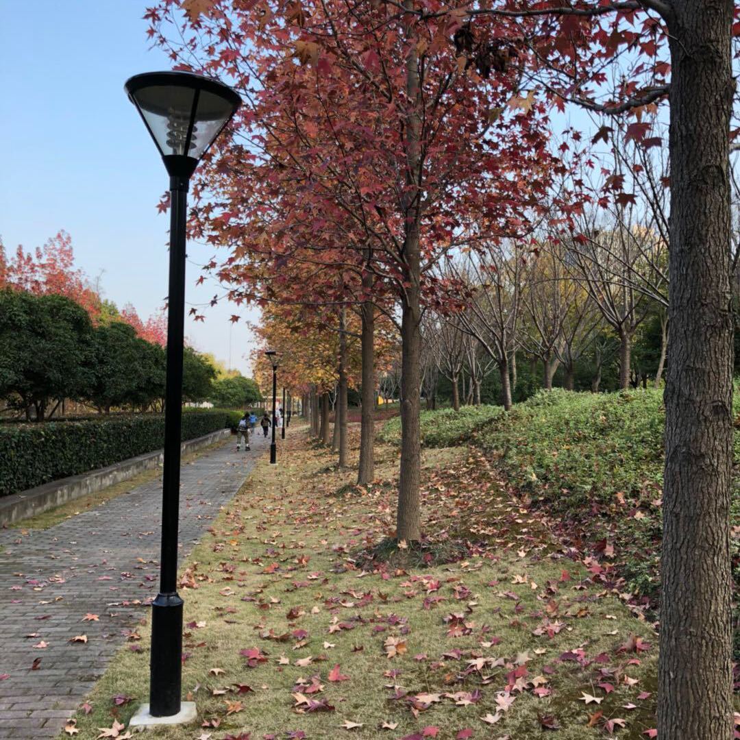 集体主义卫同学