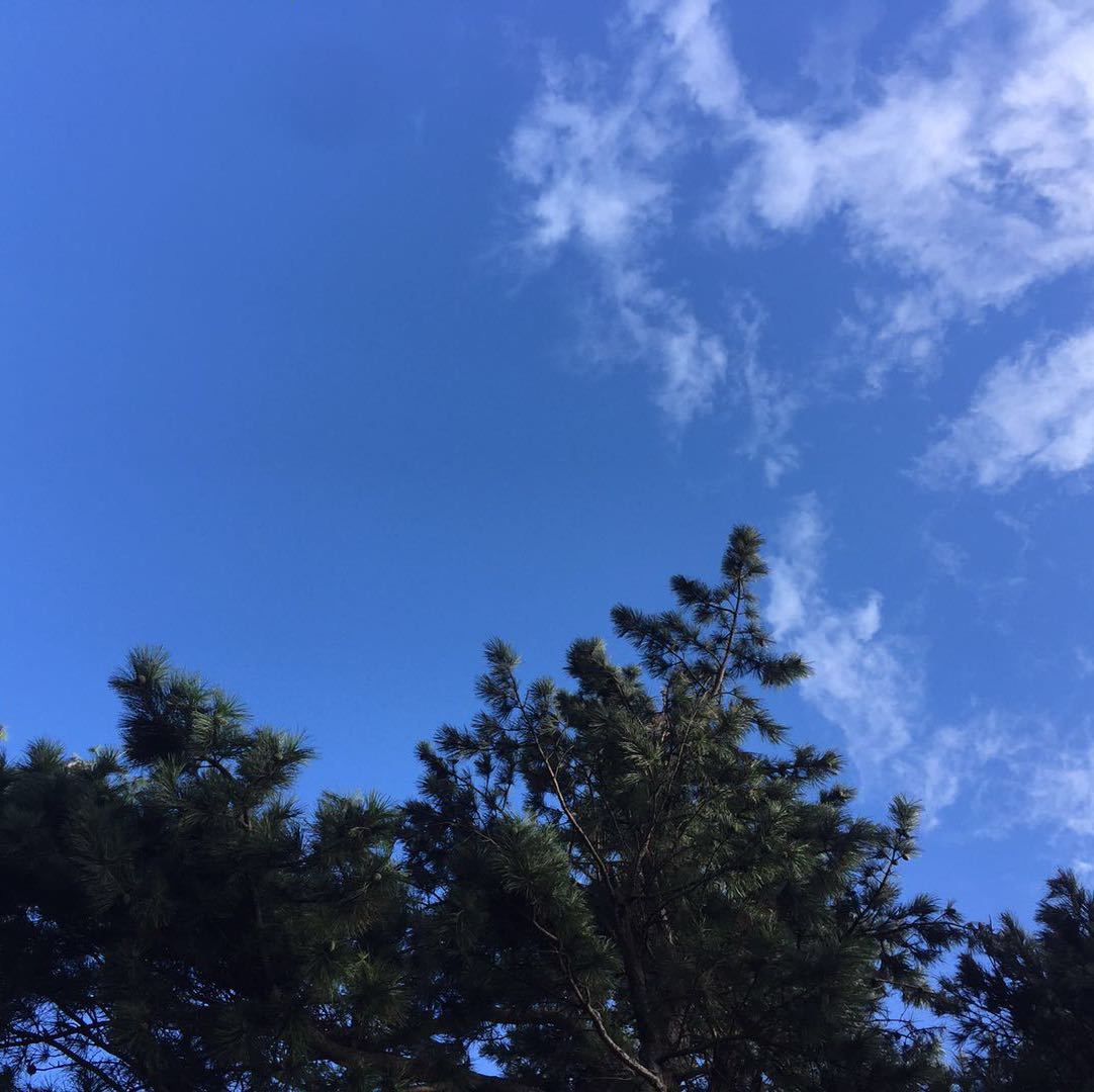 刘晓伟