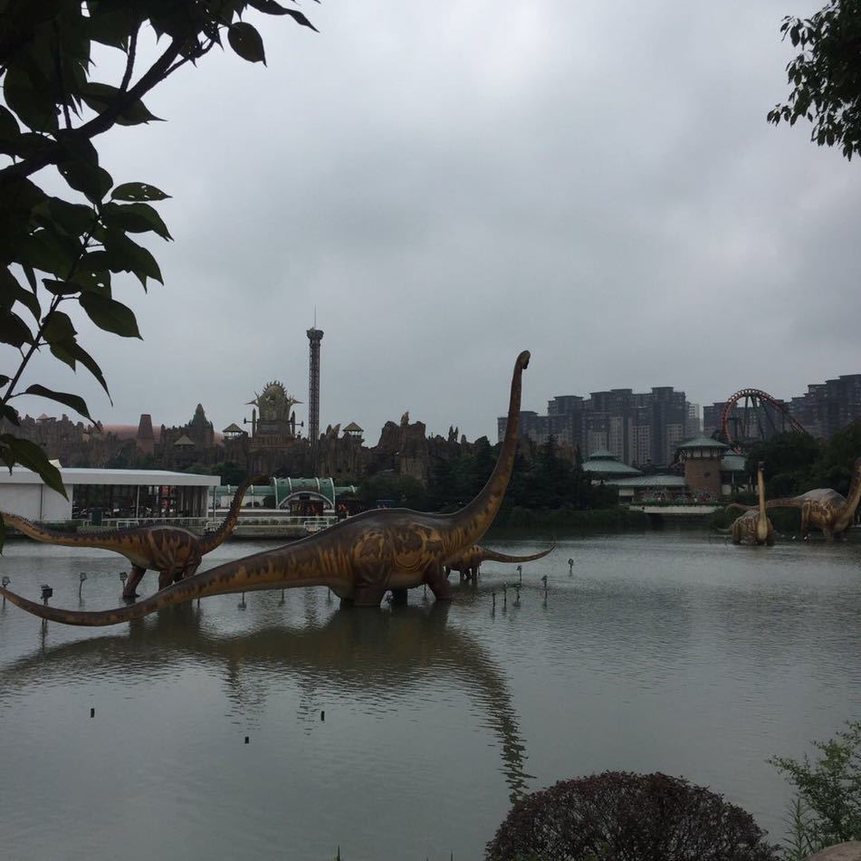 王一涛@新正源机器人