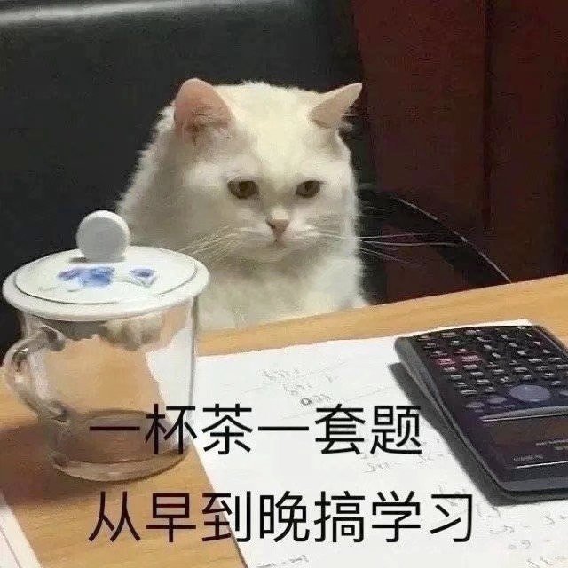 一杯茶一套题从早到晚搞学习🎶