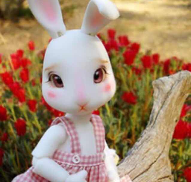 美丽的总是女人。💋