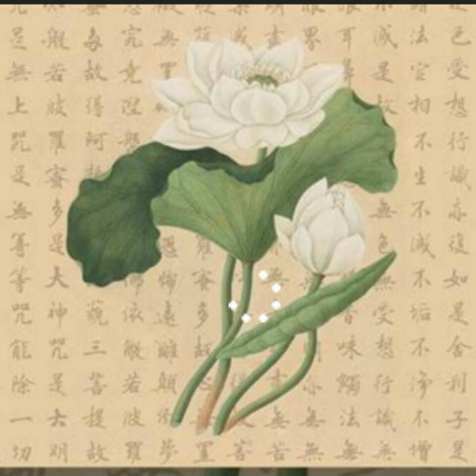用戶頭像