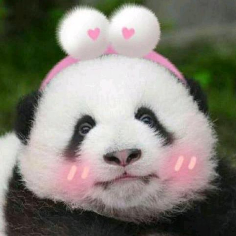 会微笑的糖果🌸