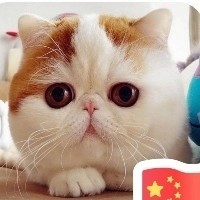 简
