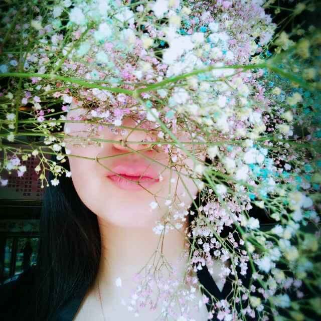 七彩鲜花15304622838 04524321314