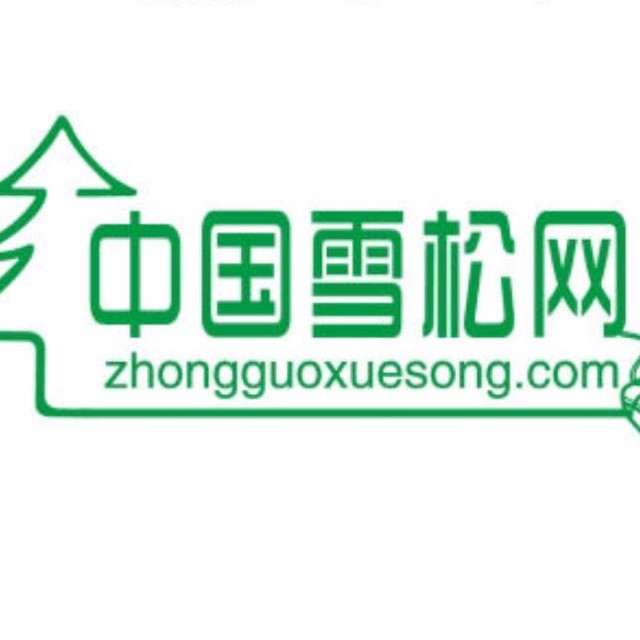 雪松网