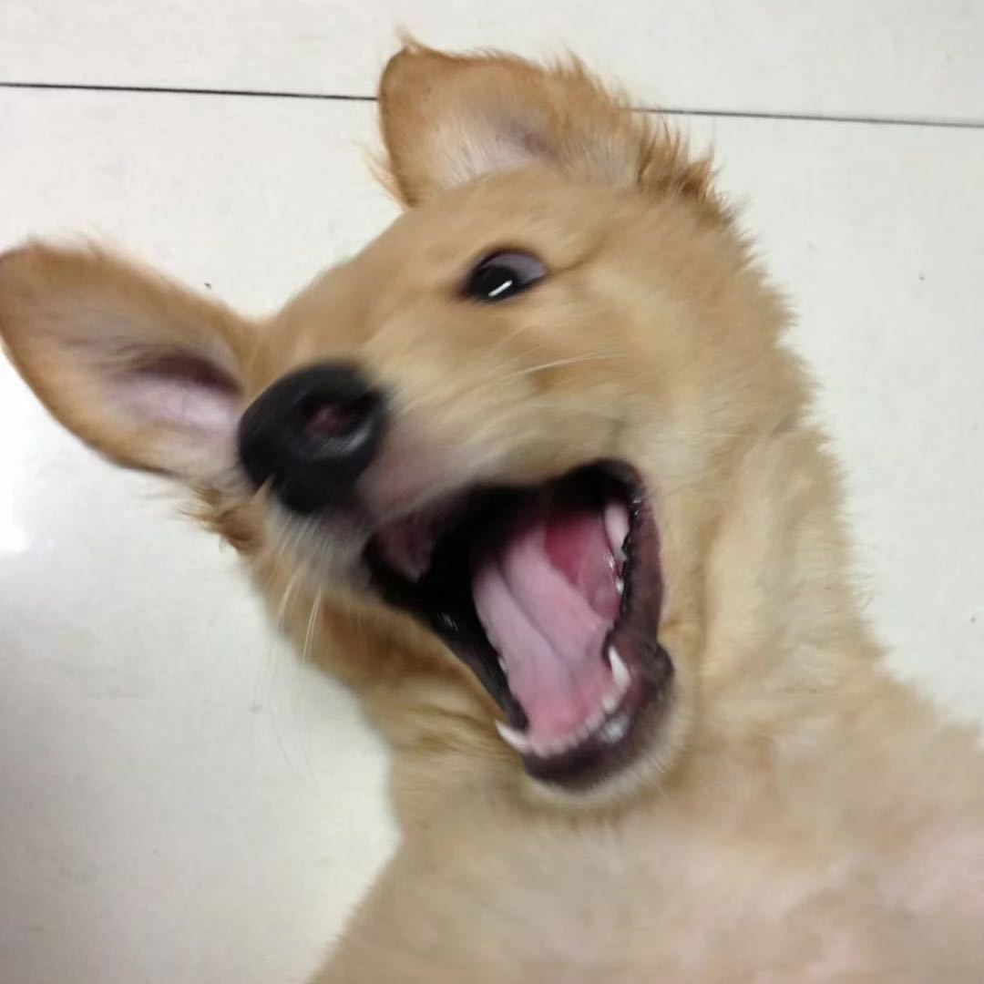 Jerry@百聆科技