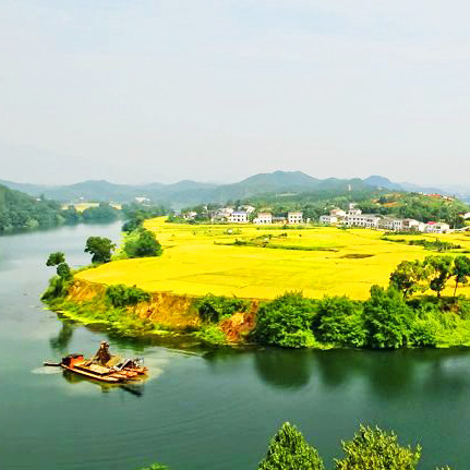 幸福枨冲