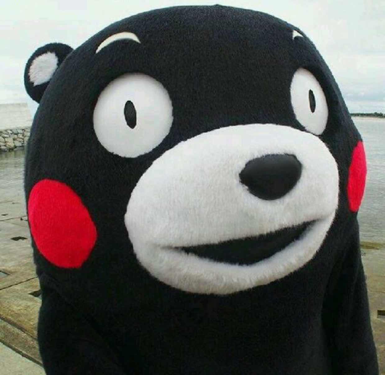 毕丹尼