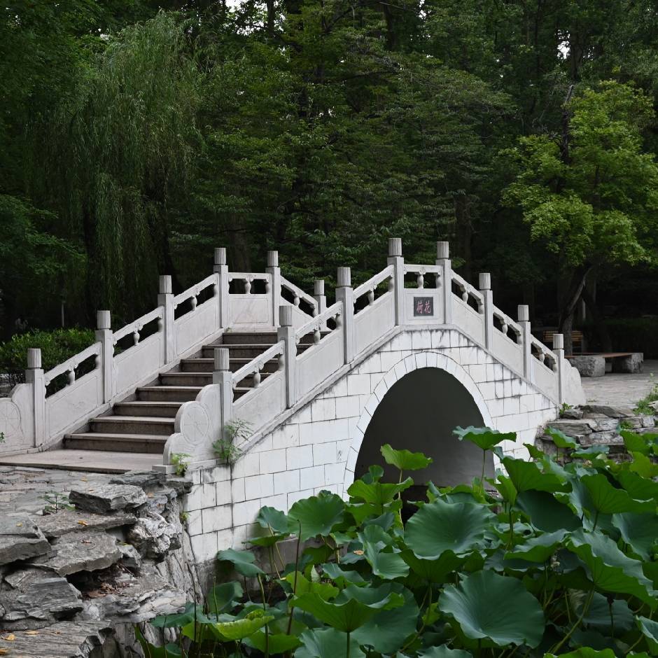 春山观瀑