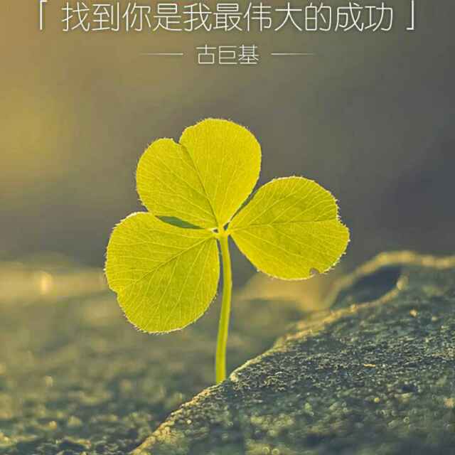 梦的第一见