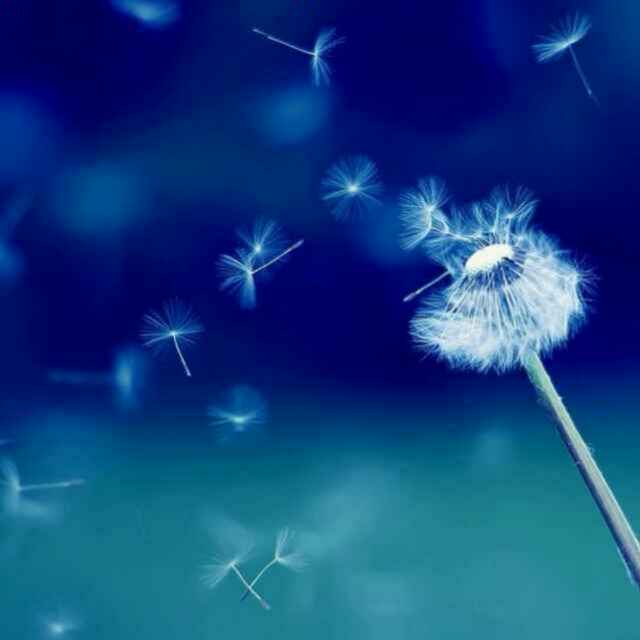 一蓑烟雨任平生