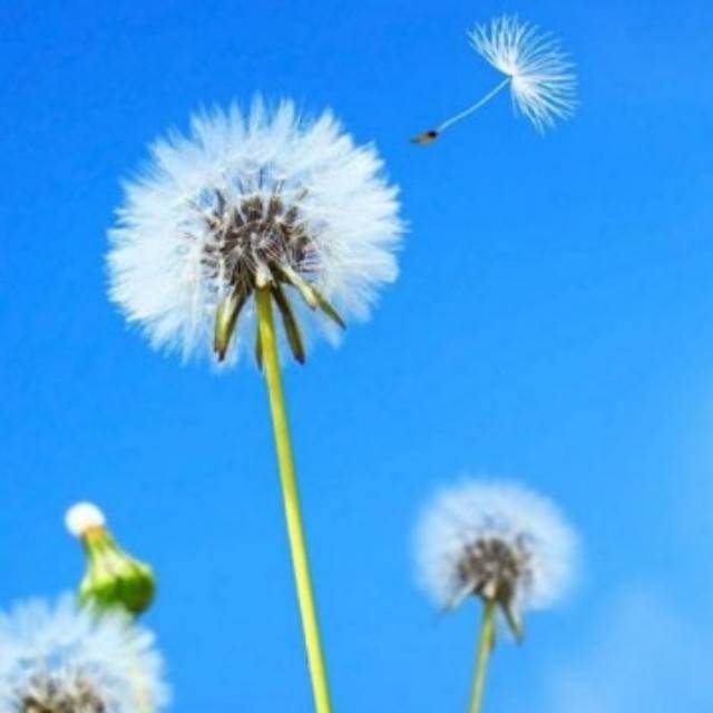 巧合并非偶然