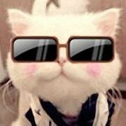 猫会长