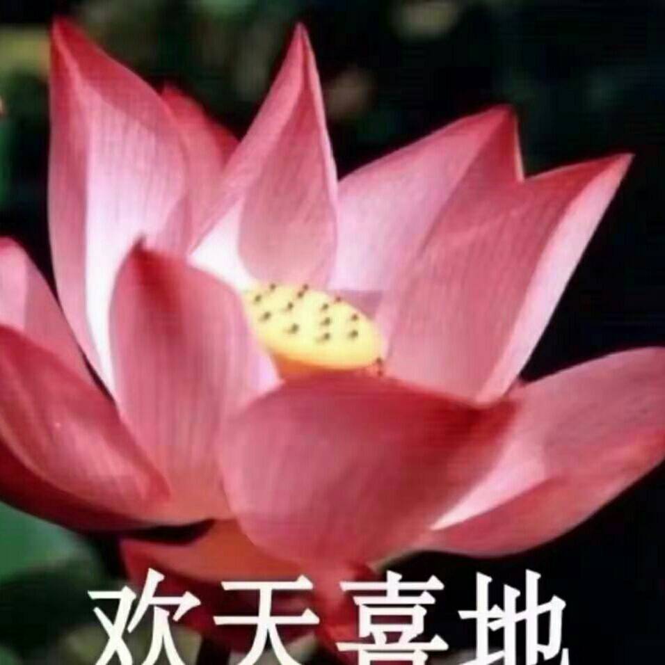 耿翠娥