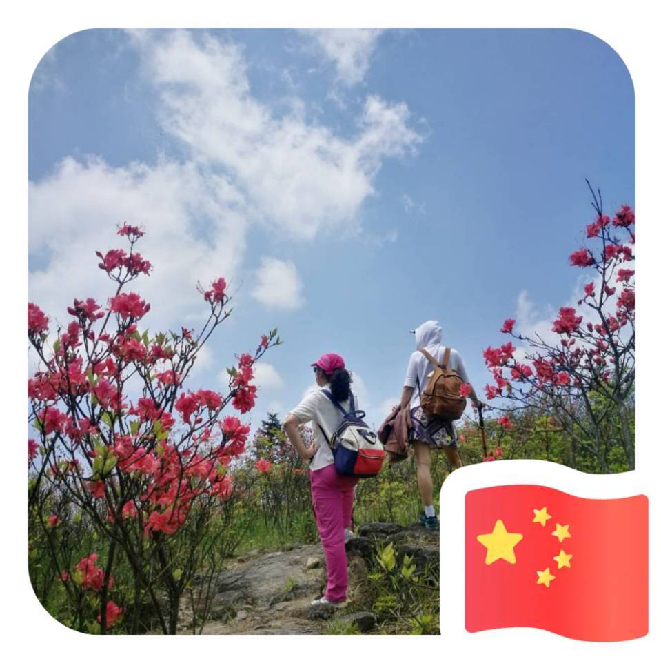 用戶頭像