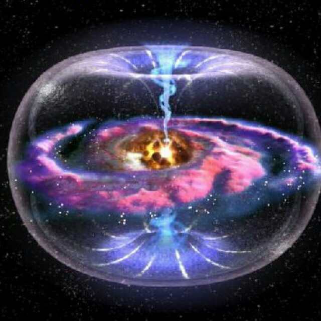 打盹的林中之王