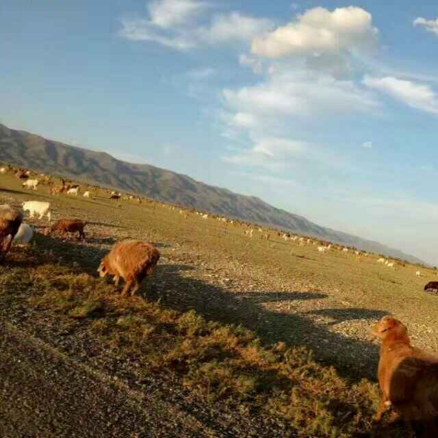 用戶頭像