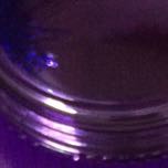 ꧁꫞꯭耿༒金༒鹏꫞꯭꧂