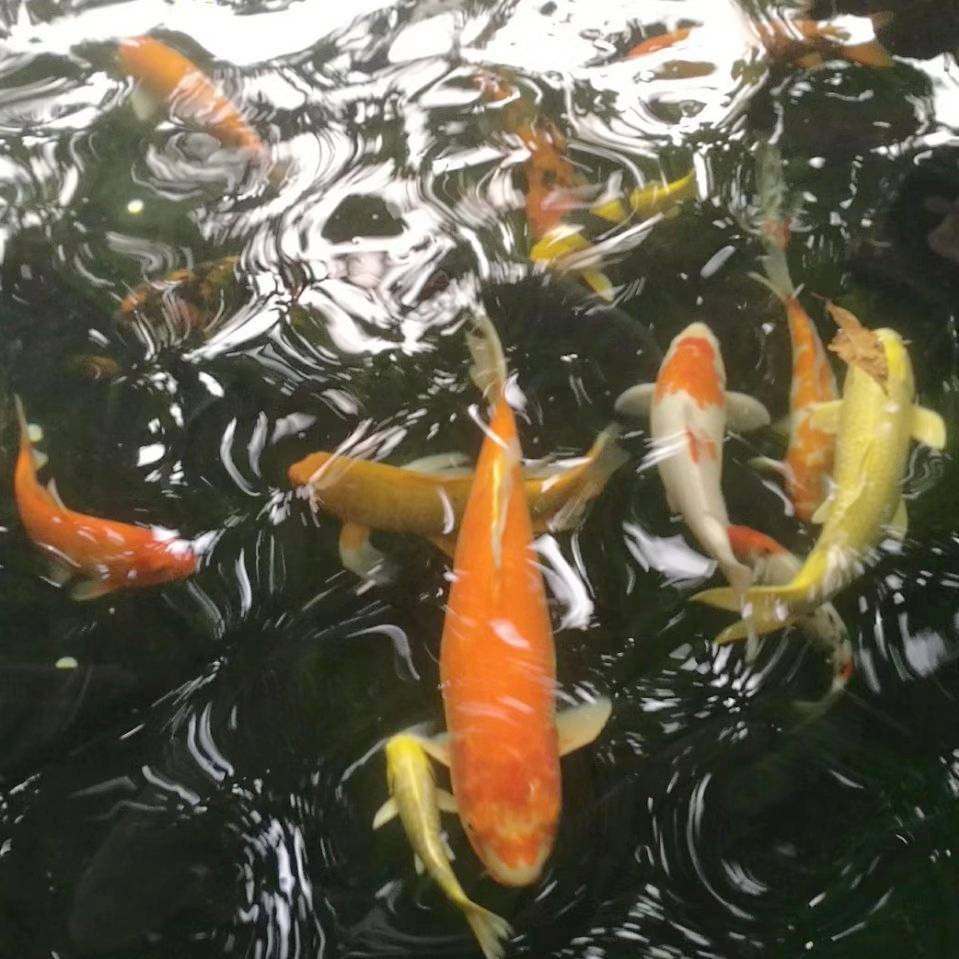 幸福时光