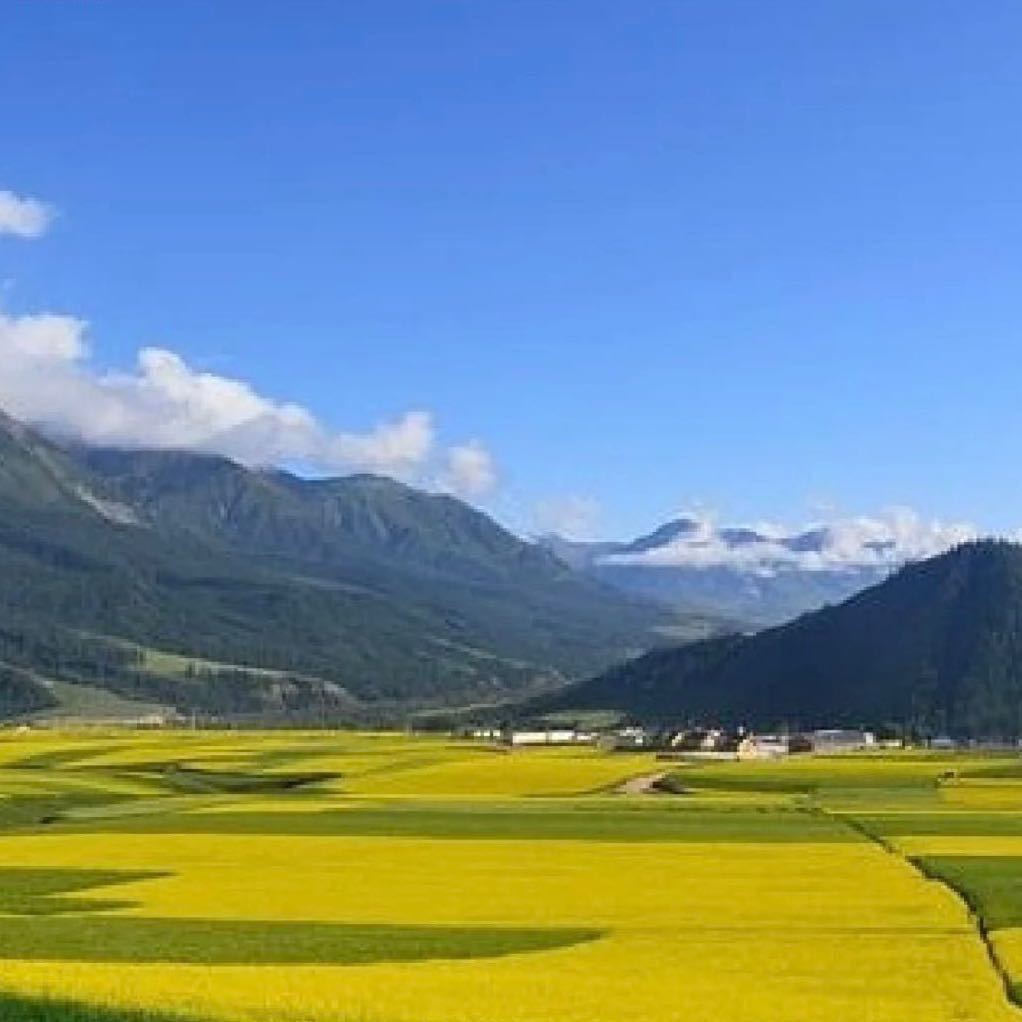 小马小马好运一打