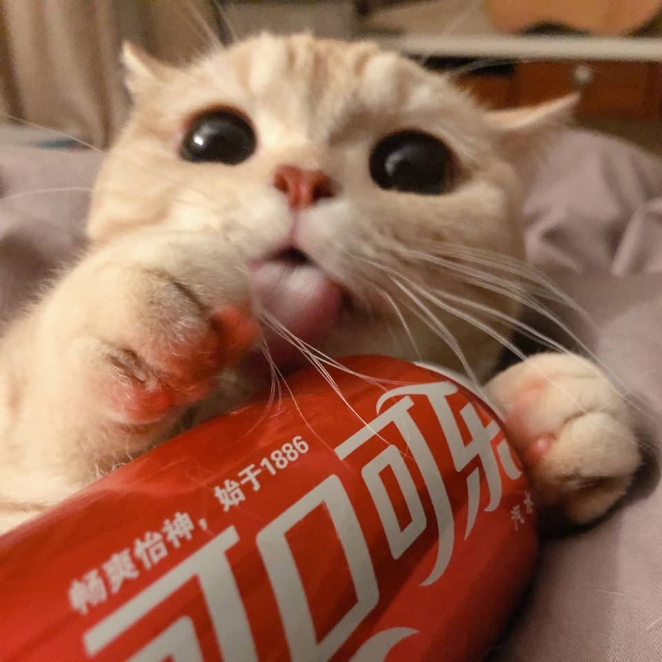 用戶頭像