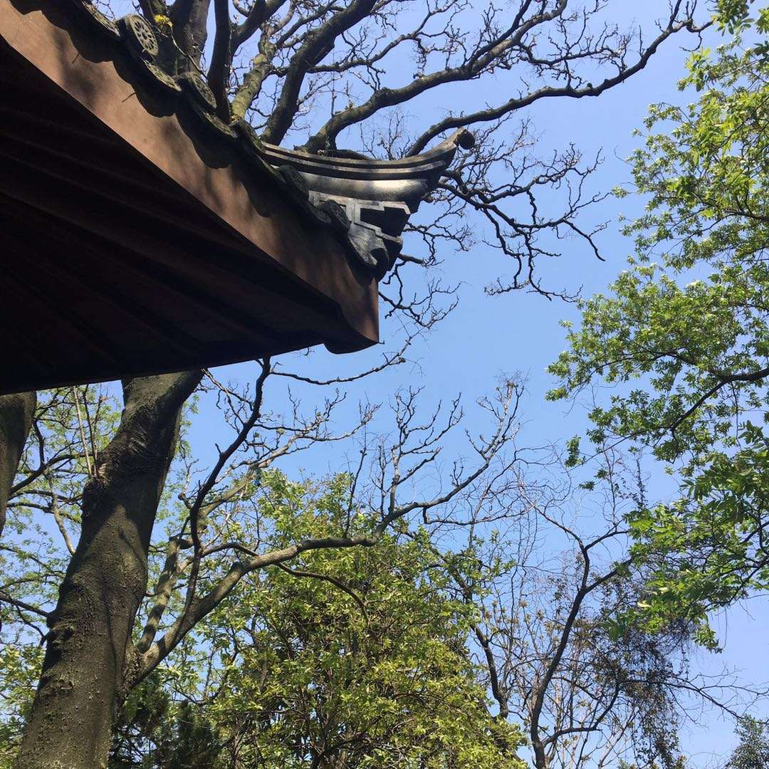 用戶頭像