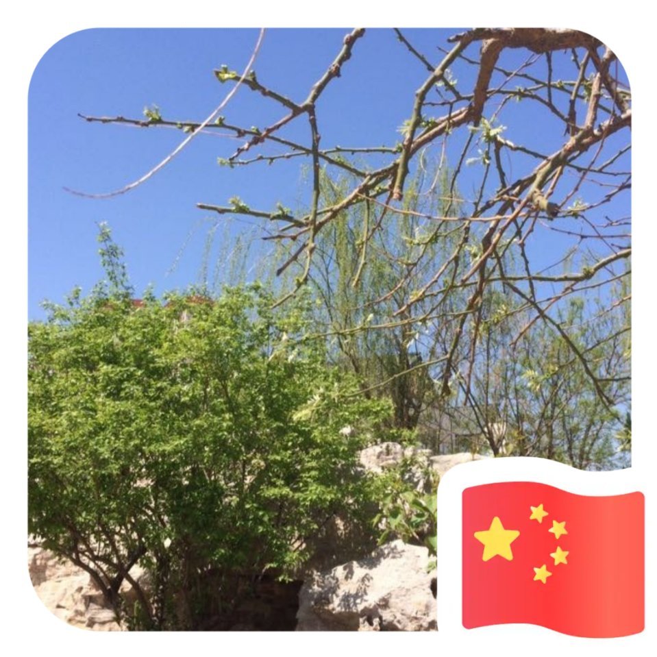 用戶頭像