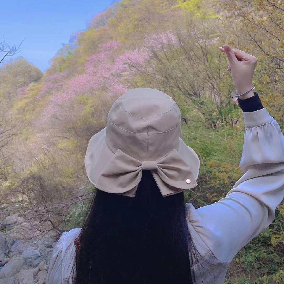 没开花的梦