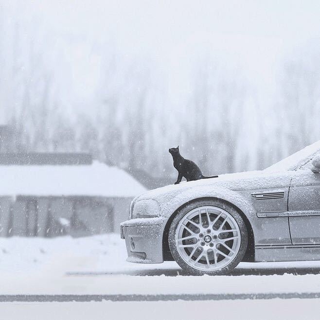 z̾h̾a̾c̾k̾e̾r̾