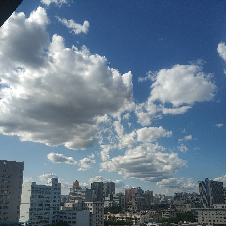 呼呼哈