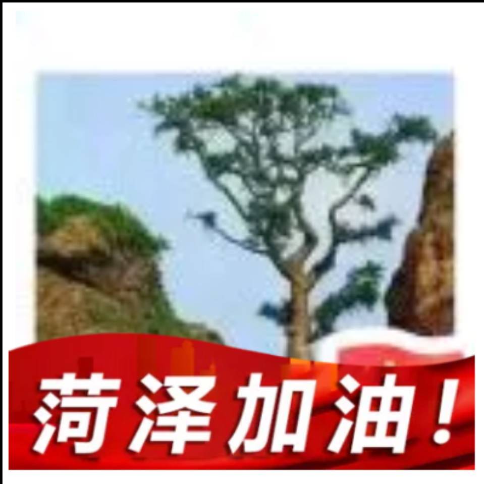 绝不低头