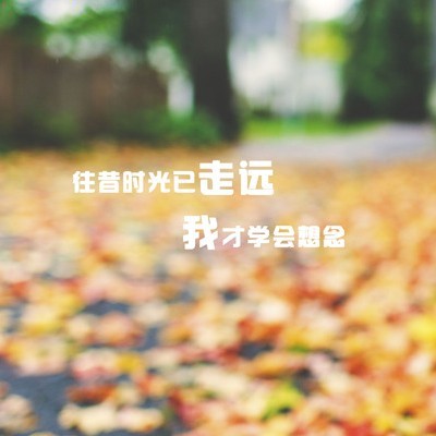 德州天渠网络科技有限公司