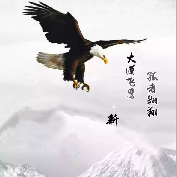 闪亮的星